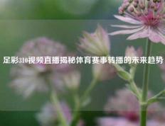 足彩310视频直播揭秘体育赛事转播的未来趋势