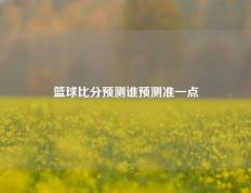 篮球比分预测谁预测准一点