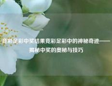 竞彩足彩中奖结果竞彩足彩中的神秘奇迹——揭秘中奖的奥秘与技巧
