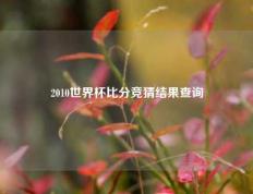 2010世界杯比分竞猜结果查询