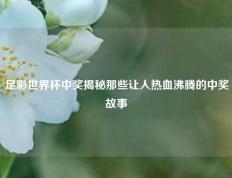 足彩世界杯中奖揭秘那些让人热血沸腾的中奖故事