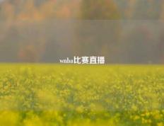 wnba比赛直播