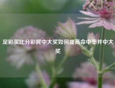 足彩买比分彩民中大奖如何提高命中率并中大奖