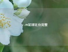 ⅴs90足球比分完整