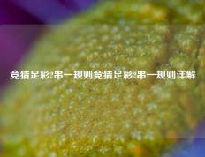 竞猜足彩2串一规则竞猜足彩2串一规则详解
