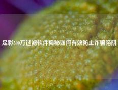 足彩500万过滤软件揭秘如何有效防止诈骗陷阱