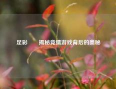 足彩開獎揭秘竞猜游戏背后的奥秘