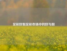 足彩好假足彩市场中的好与假