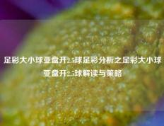 足彩大小球亚盘开2.5球足彩分析之足彩大小球亚盘开2.5球解读与策略