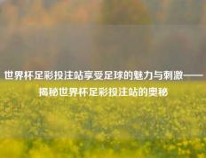 世界杯足彩投注站享受足球的魅力与刺激——揭秘世界杯足彩投注站的奥秘