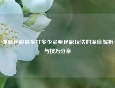 体彩足彩最多打多少彩票足彩玩法的深度解析与技巧分享