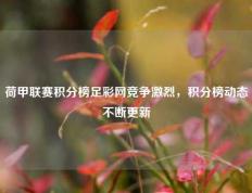 荷甲联赛积分榜足彩网竞争激烈，积分榜动态不断更新