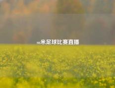 so米足球比赛直播