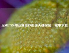 足彩17150期亚盘推荐把握关键时刻，稳中求胜
