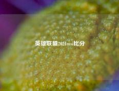 英雄联盟2021msi比分