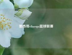 墨西哥cibacopa篮球联赛