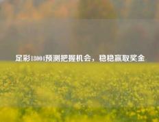 足彩18004预测把握机会，稳稳赢取奖金