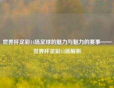 世界杯足彩14场足球的魅力与魅力的赛事——世界杯足彩14场解析