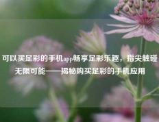 可以买足彩的手机app畅享足彩乐趣，指尖触碰无限可能——揭秘购买足彩的手机应用