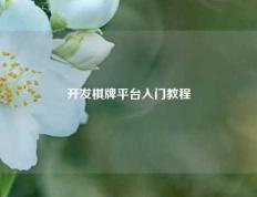开发棋牌平台入门教程