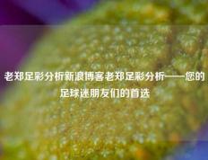 老郑足彩分析新浪博客老郑足彩分析——您的足球迷朋友们的首选