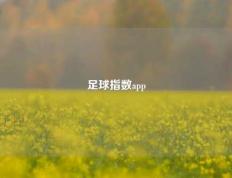 足球指数app