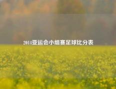 2014亚运会小组赛足球比分表