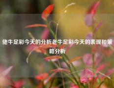 佬牛足彩今天的分析老牛足彩今天的表现和策略分析
