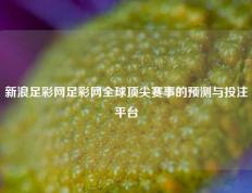 新浪足彩网足彩网全球顶尖赛事的预测与投注平台