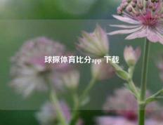 球探体育比分app 下载