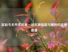 足彩今天开奖结果一场充满惊喜与期待的足球盛宴
