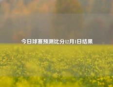 今日球赛预测比分12月1日结果