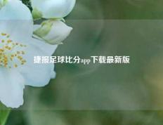 捷报足球比分app下载最新版