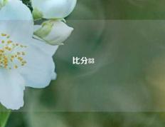 比分88
