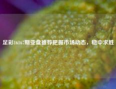 足彩16167期亚盘推荐把握市场动态，稳中求胜