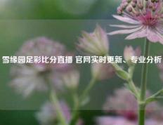 雪缘园足彩比分直播 官网实时更新、专业分析