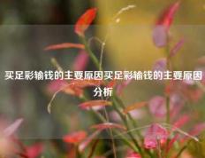 买足彩输钱的主要原因买足彩输钱的主要原因分析