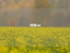 球探360