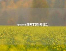 spbocom体球网即时比分