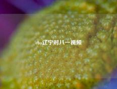 cba辽宁对八一视频