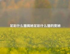 足彩什么猫揭秘足彩什么猫的奥秘