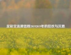 足彩交流微信群20192019年的狂欢与沉思