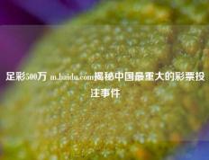 足彩500万 m.baidu.com揭秘中国最重大的彩票投注事件