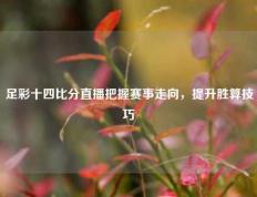 足彩十四比分直播把握赛事走向，提升胜算技巧