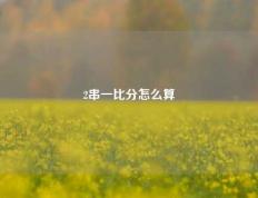 2串一比分怎么算