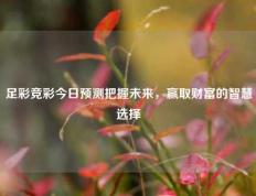 足彩竞彩今日预测把握未来，赢取财富的智慧选择