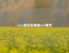 1619o期足彩揭秘1619赛季