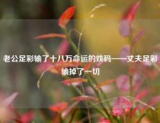 老公足彩输了十八万命运的戏码——丈夫足彩输掉了一切