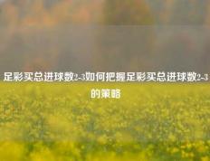 足彩买总进球数2-3如何把握足彩买总进球数2-3的策略