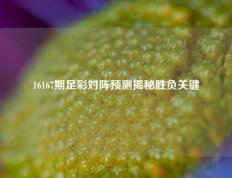 16167期足彩对阵预测揭秘胜负关键